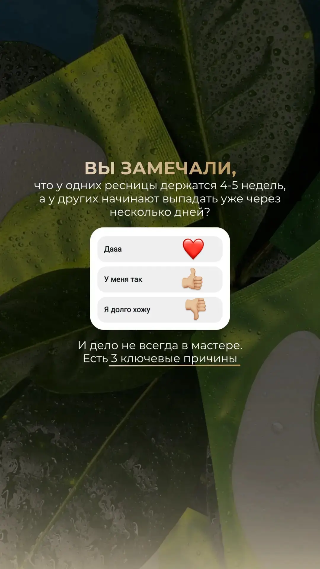 📲 Макс: +7 918 592 72 85
