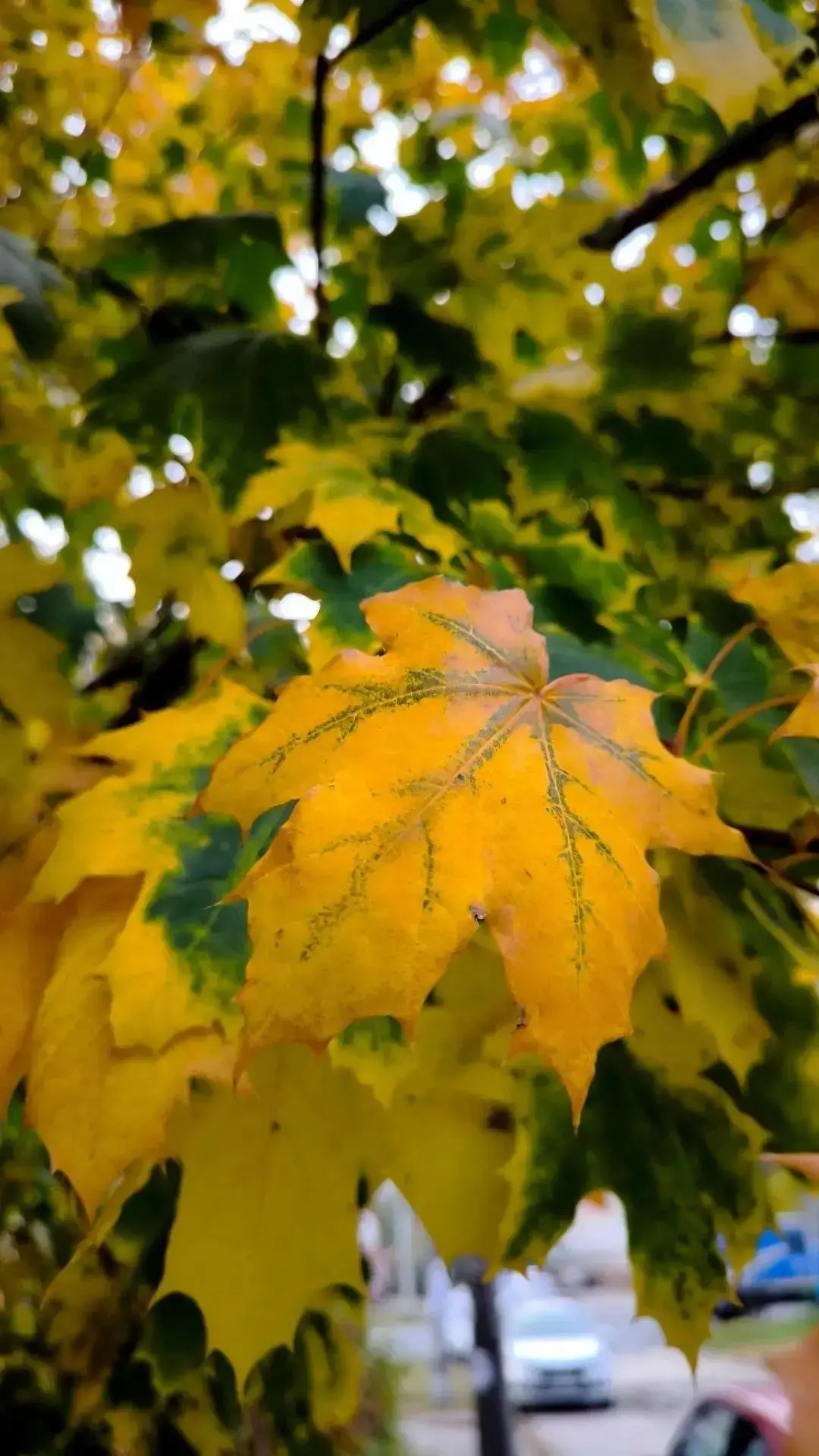 Здравствуй, октябрь! 🍂