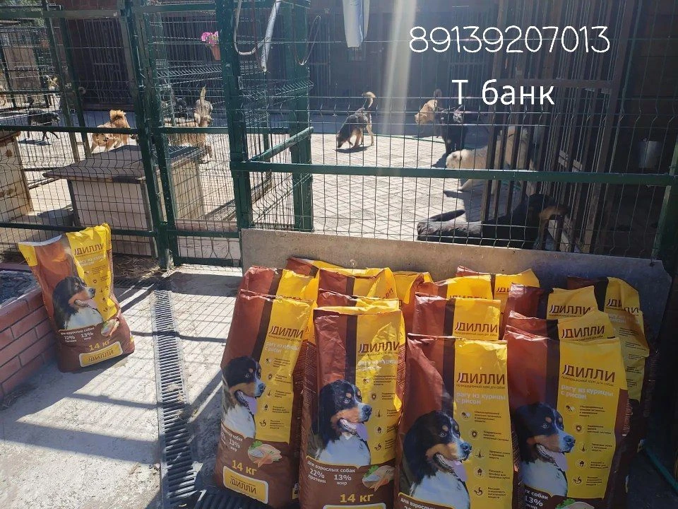 #чеки_оплата купили в приют корм Дилли. И макароны ,цена 25000 рублей. Чек прилагаю.
Спасибо вам бол