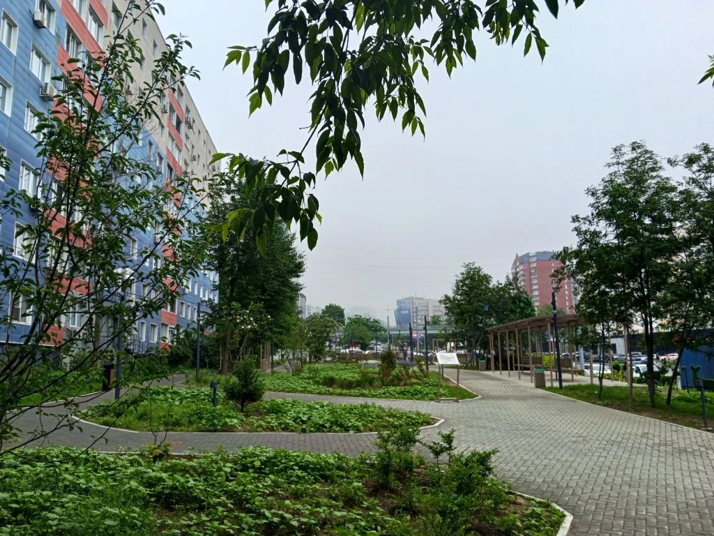Сквер на Некрасовской 98 становится зеленее и уютнее🌿

Друзья, хорошие новости с округа. Администра