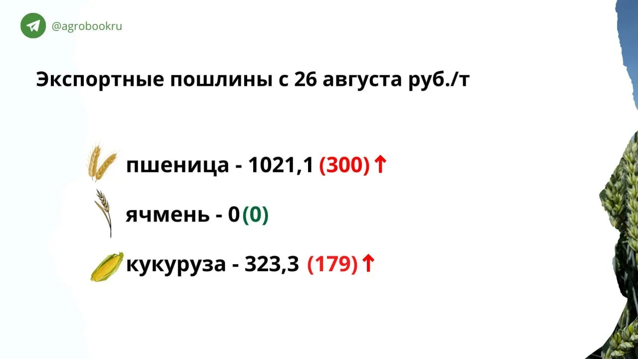 Пошлина на пшеницу превысит 1 тыс. рублей