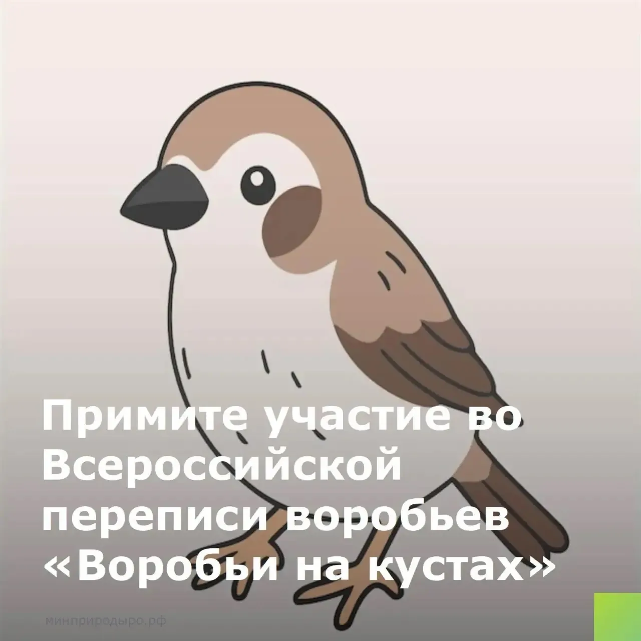 Примите участие во всероссийской переписи в регионах России с 8 по 16 августа!