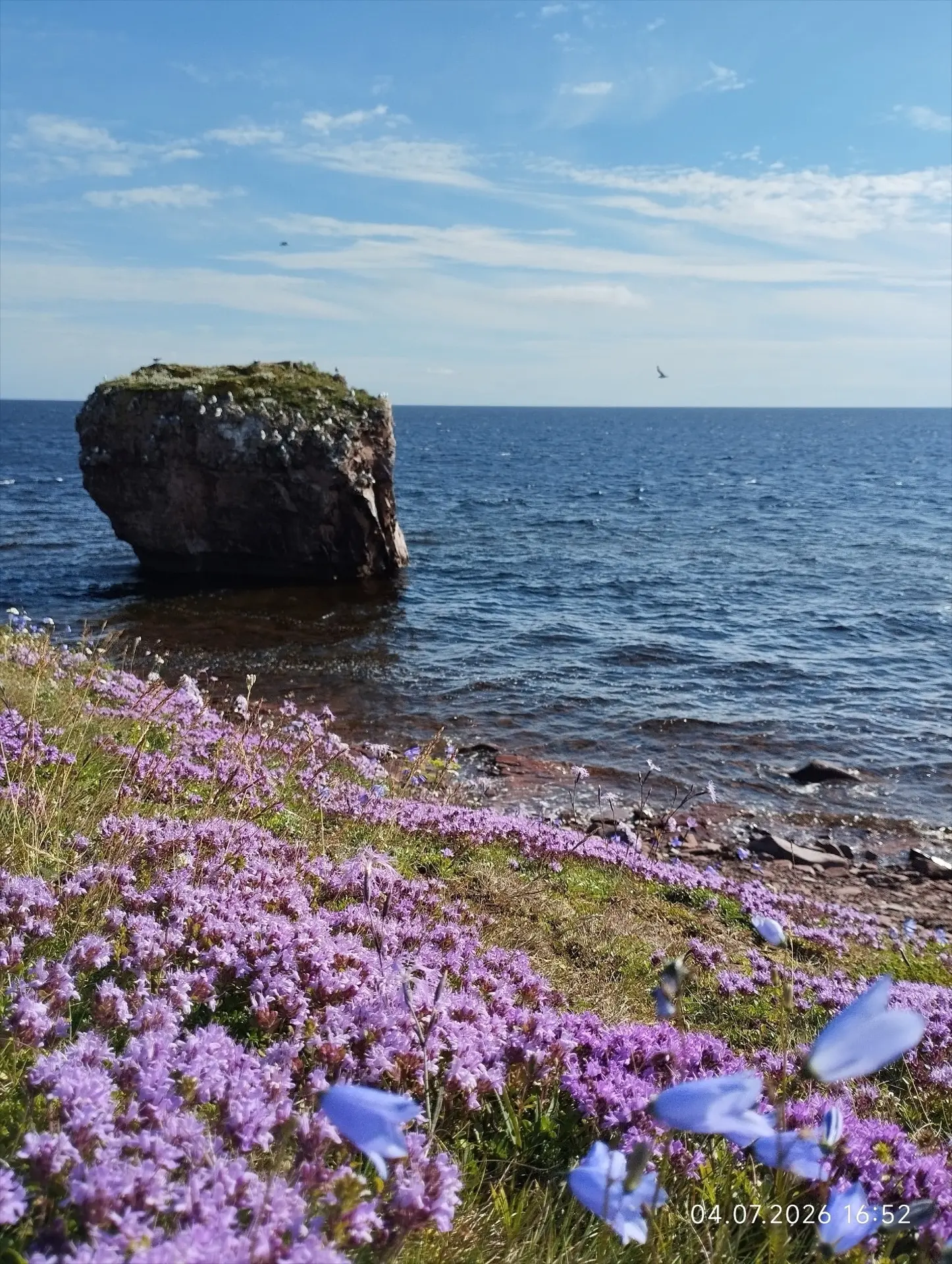 💜 В Мурманской области можно найти настоящие аметисты прямо на берегу Белого моря