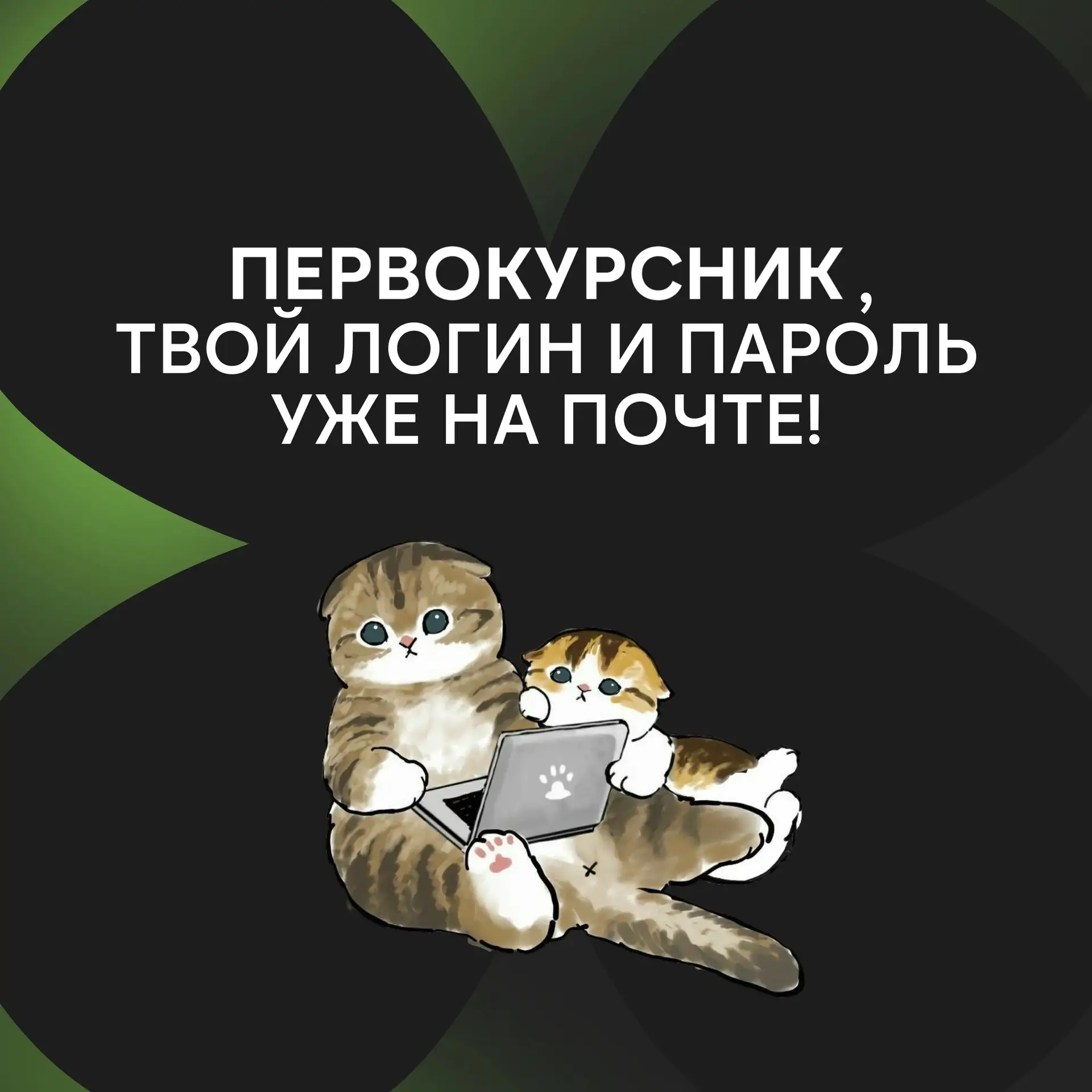 Твой доступ к знаниям!