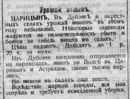 🍒 Когда вишни «покоряли» Дубовку: взгляд из 1914 года

Представьте: жаркий июль, сады в Дубовке бук