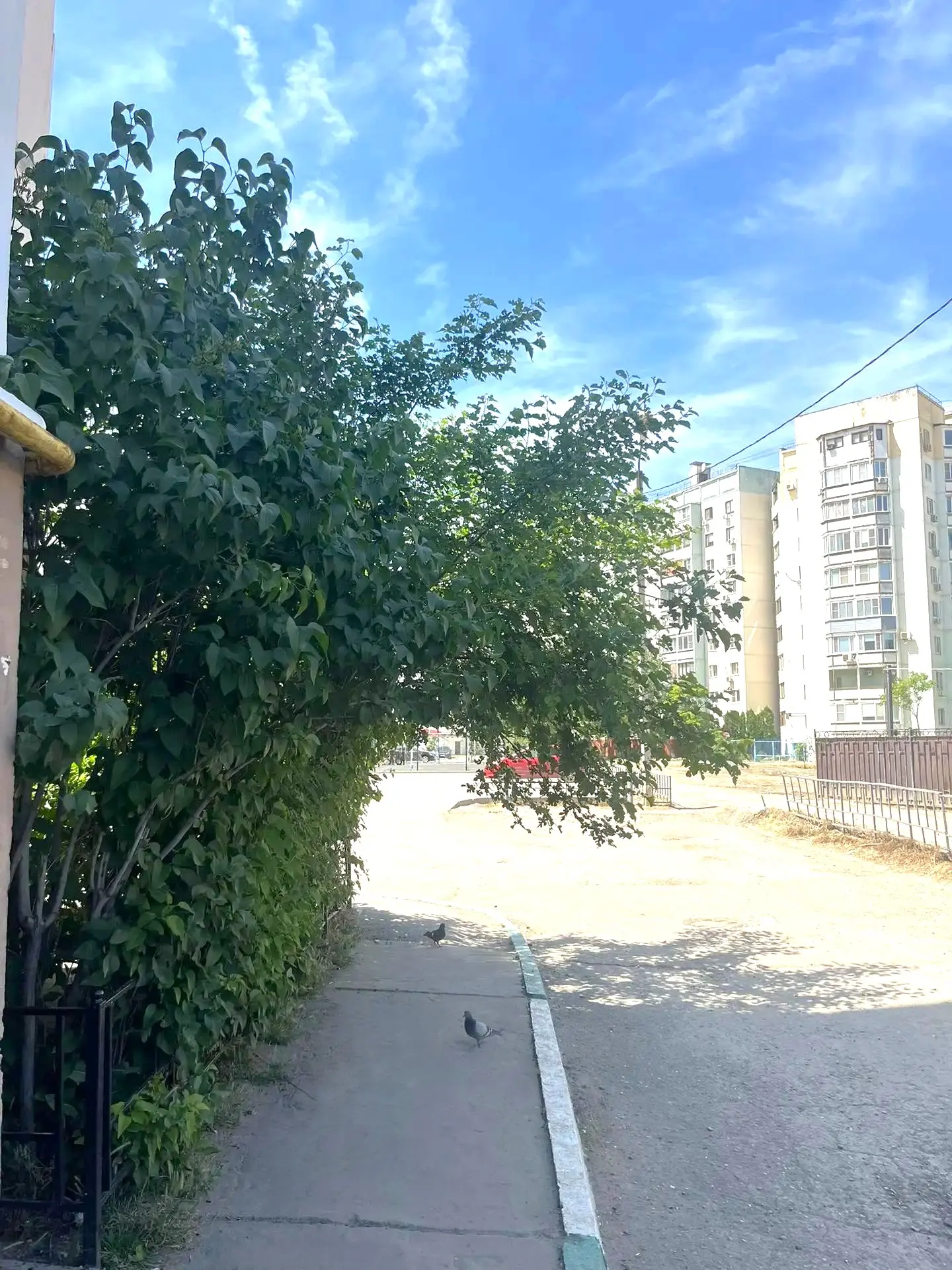 🚶‍♀️ Свободный проход и ухоженная территория!

По адресу: 2-я Зеленгинская 1 к 3 (с торца здания) с