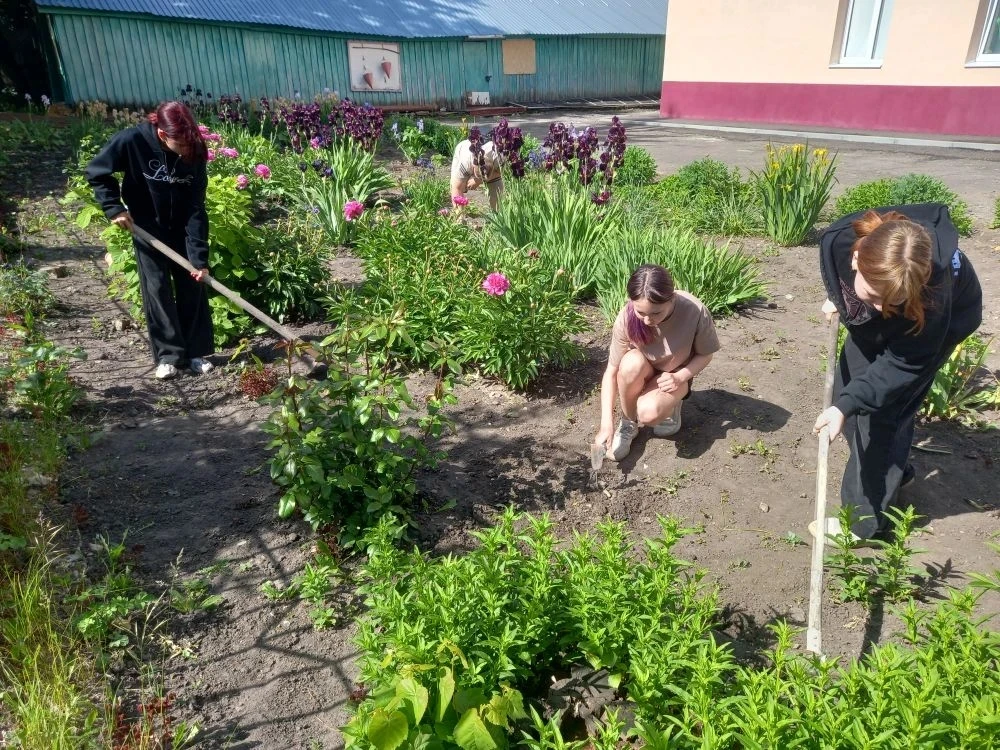 Лето с пользой! 
Ухоженные, разноцветные школьные  клумбы всегда радуют глаз.. Но, чтобы они выгляде