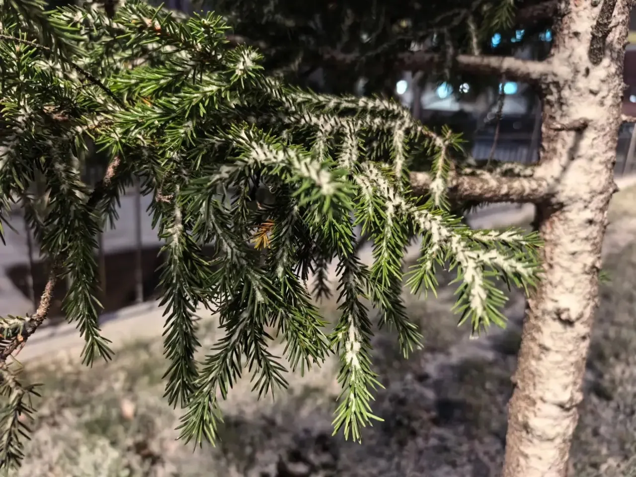 Снежные фотодетали от Татьяны Мастерских ❄️