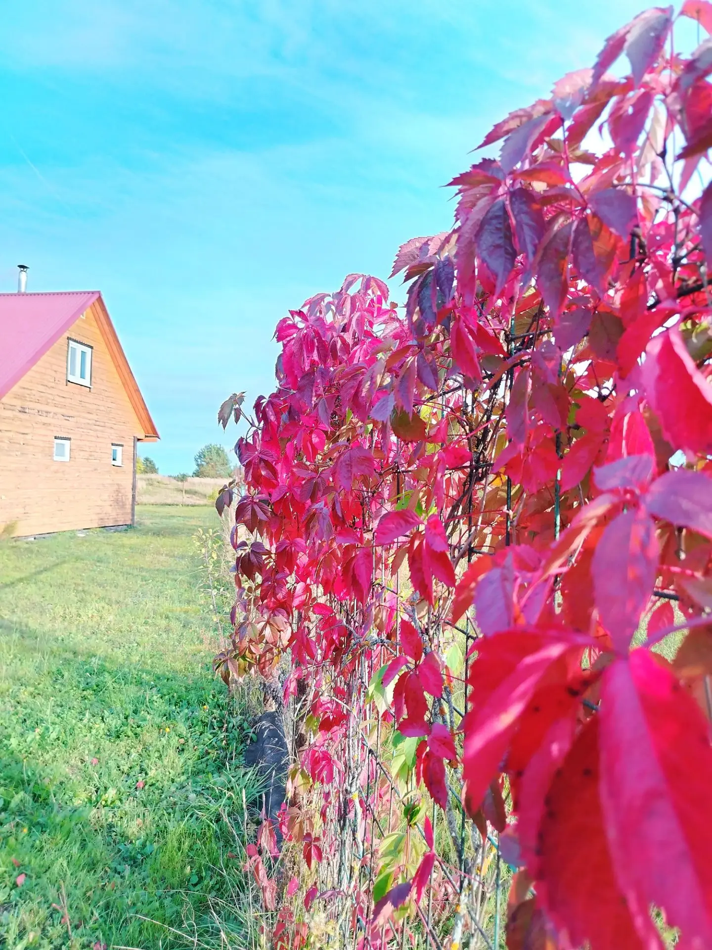 Осень🍂🍁