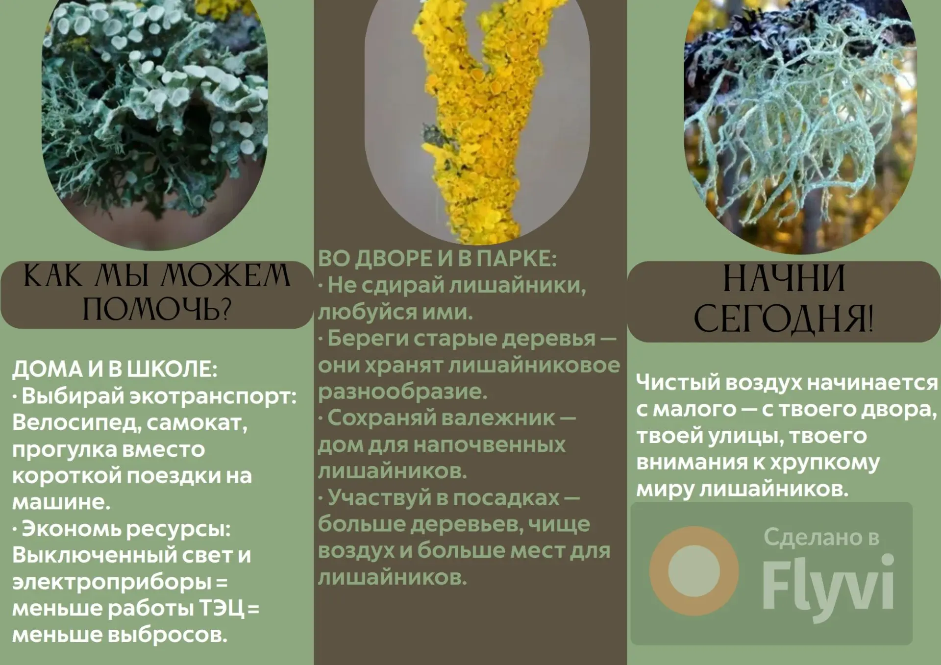 Изучаем экологию родного края! Привет, друзья!  Сегодня хочу поделиться с вами темой св...
