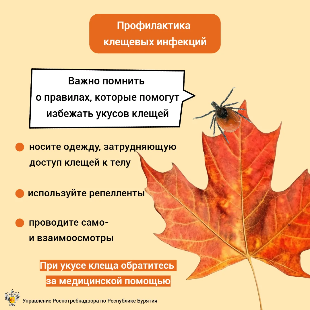 Об эпидемиологической ситуации по инфекциям, передающимся клещами