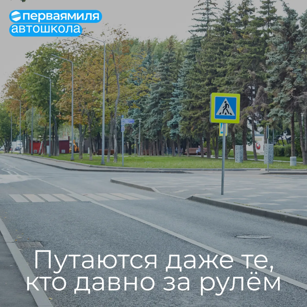 На зебре путаются даже те, кто уже давно за рулём