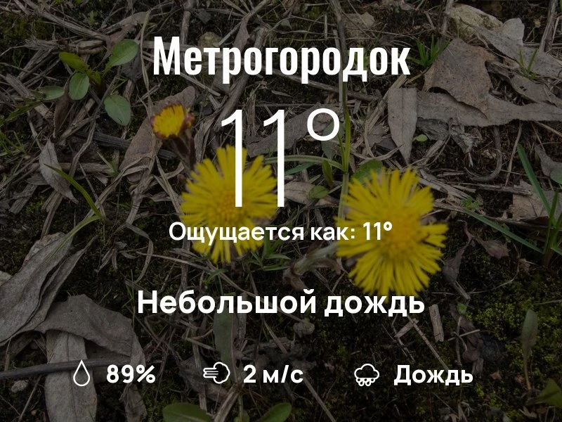 Что с погодой в Метрогородке?