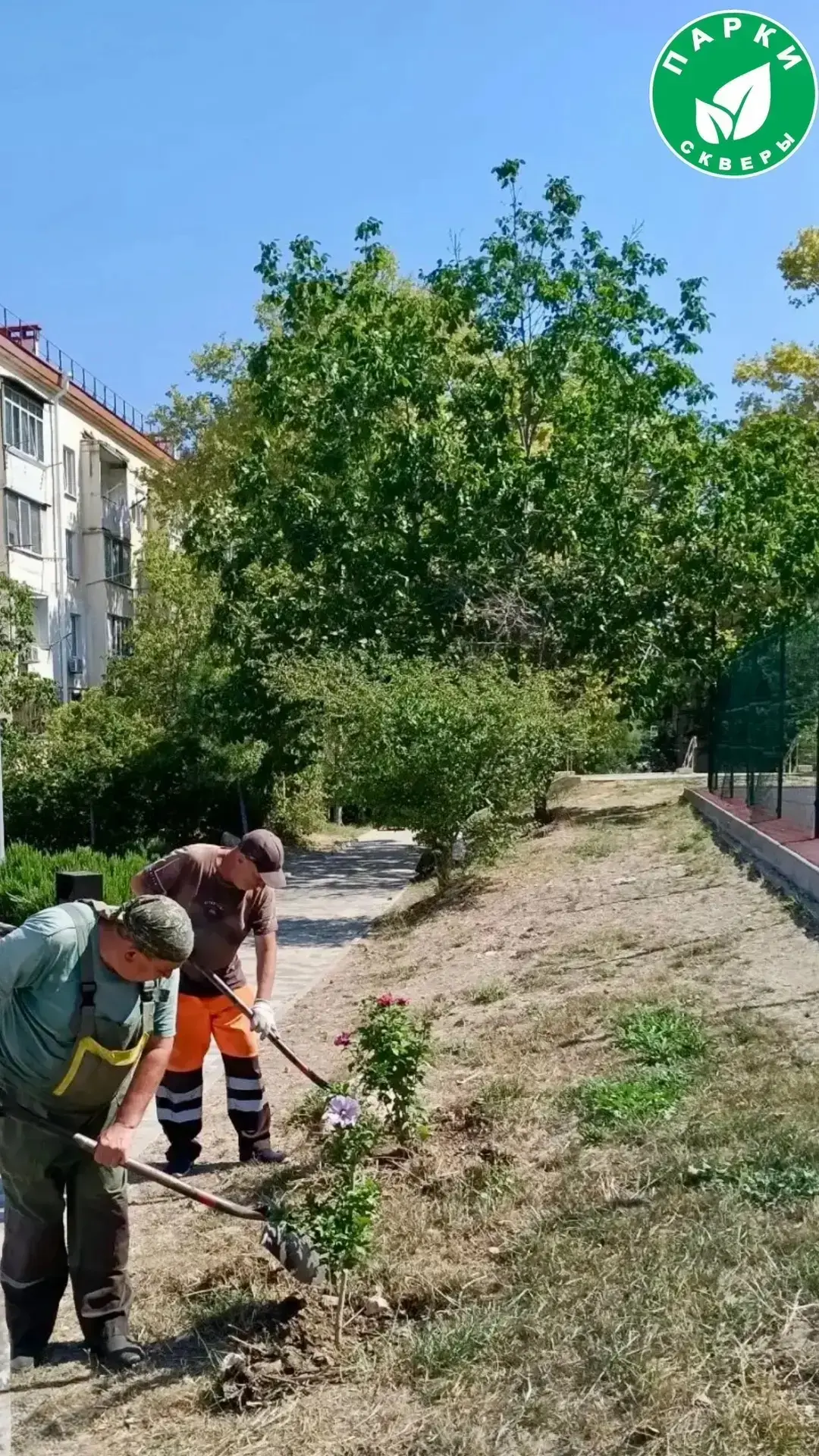 На благоустроенной территории по улице Геловани, 4 специалисты привели в порядок зелёны...
