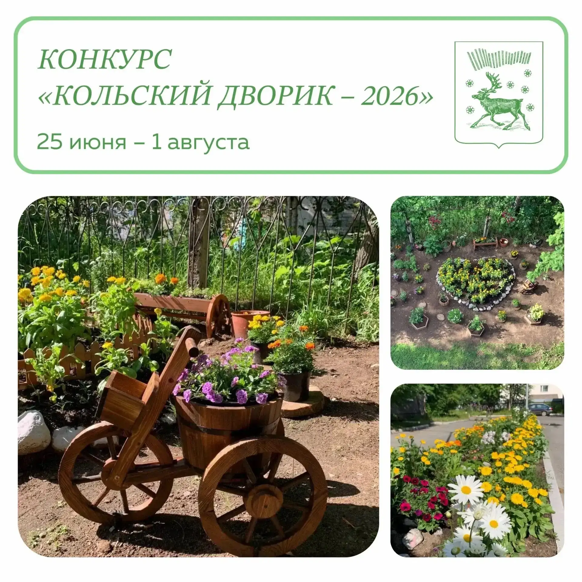 🌸🏡 Стартует конкурс «Кольский дворик – 2026»!