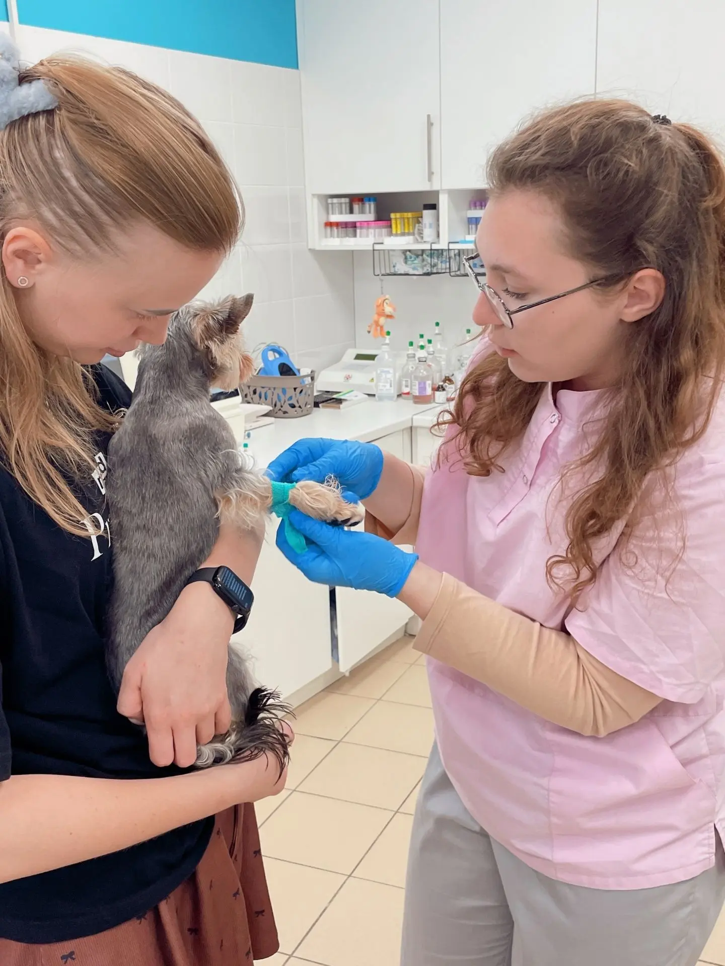«Если питомец чувствует себя хорошо, зачем ему обследование?» 🐾