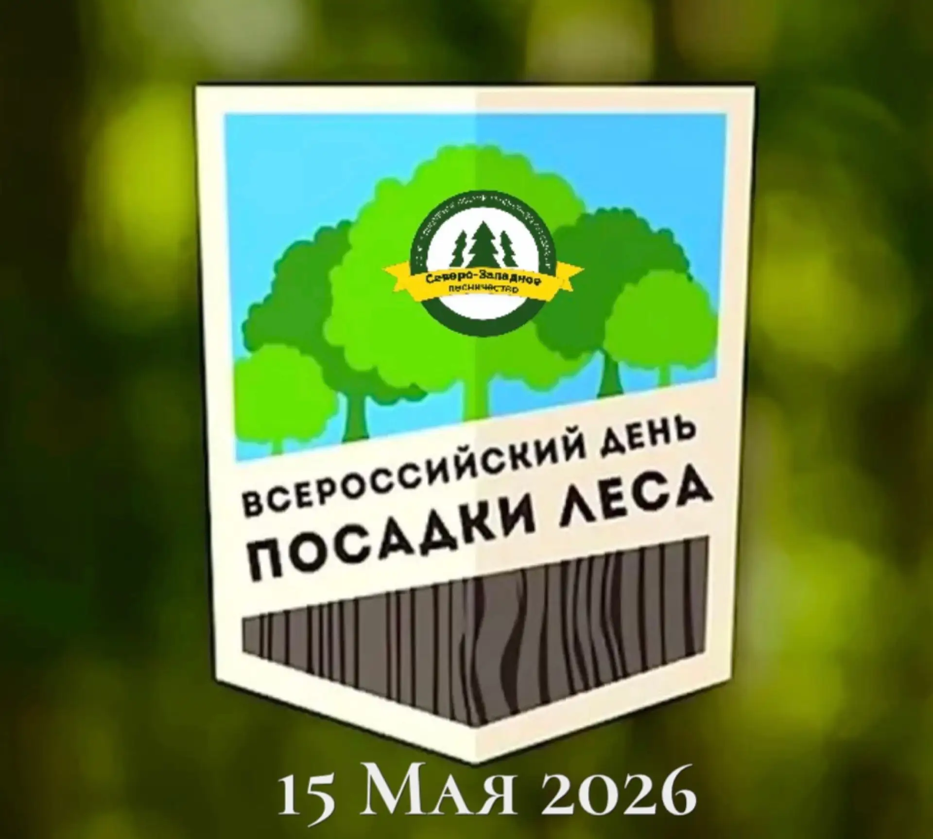 🕚15 мая 2026 года