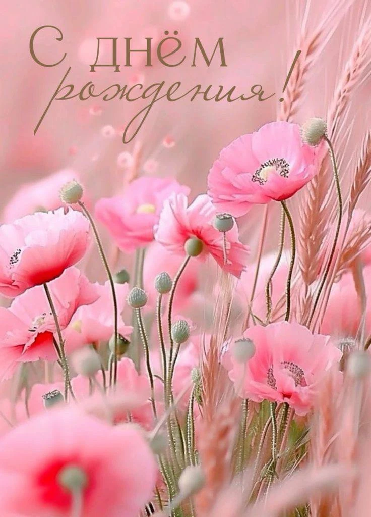 С Днём рождения! 🎂
