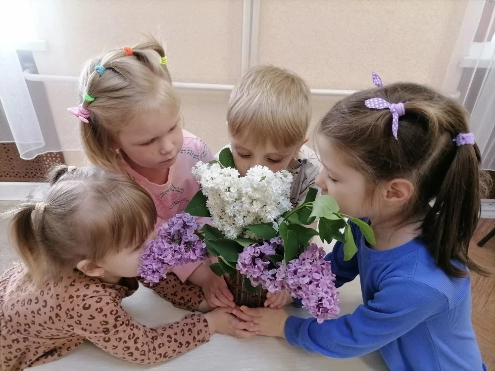 18 мая - Международный день сирени. Сирень – символ весны, начало новой жизни. В преддв...