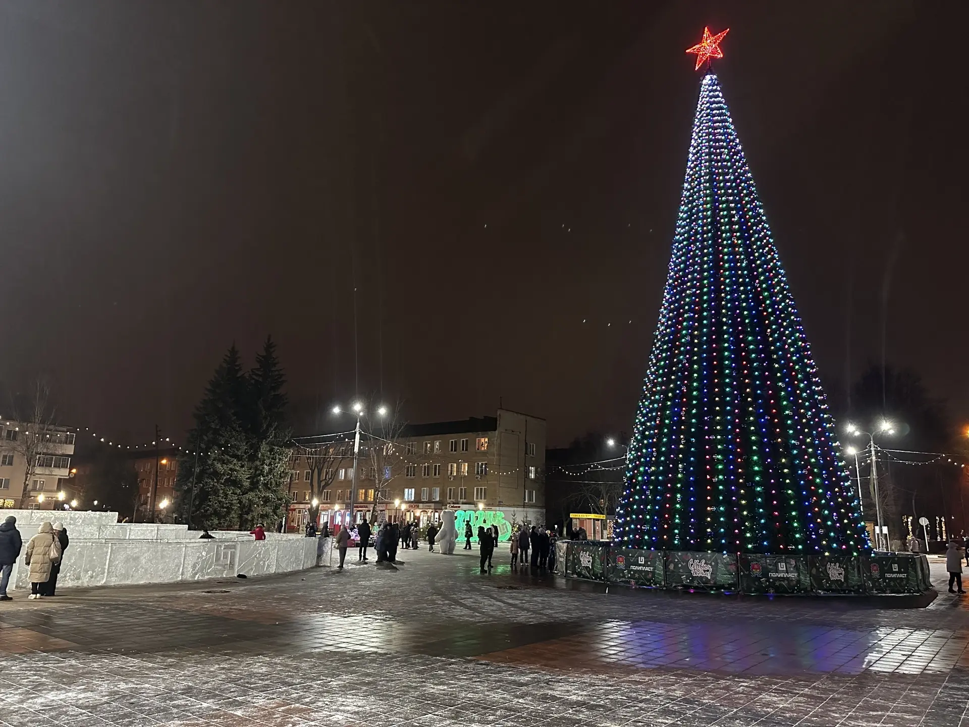 ❗️В Новомосковске могут установить новую новогоднюю елку