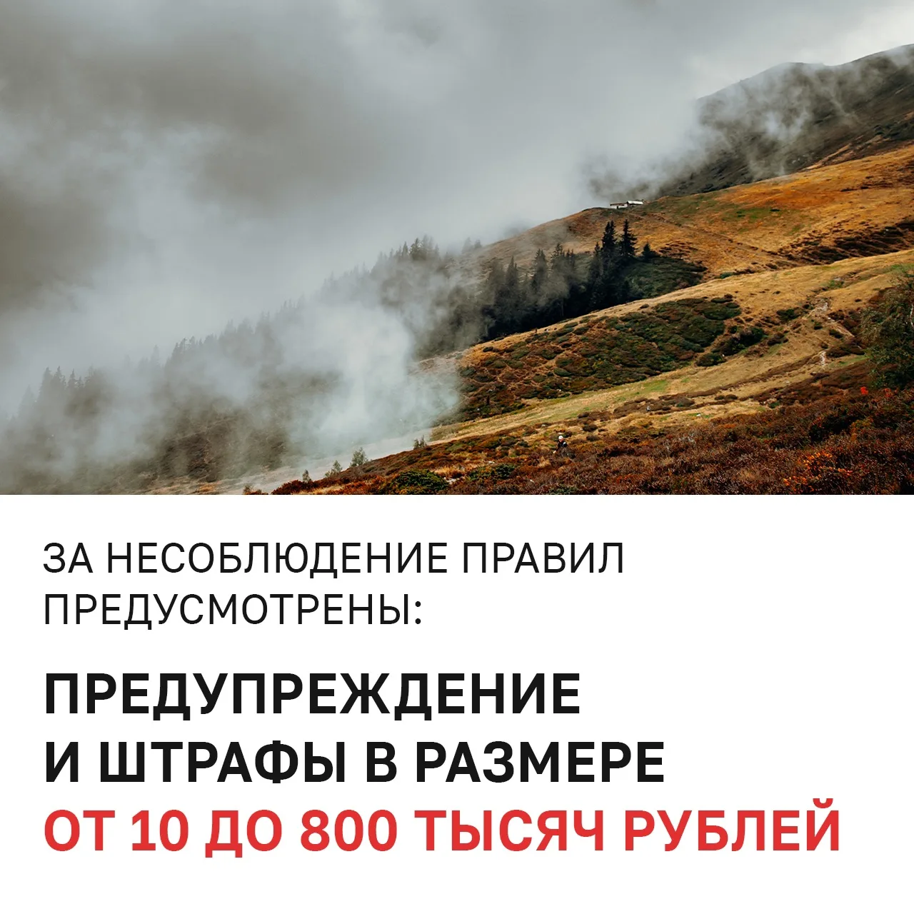 🔥В Удмуртии ввели особый противопожарный режим!  Теперь на всей территории республики действуют допо