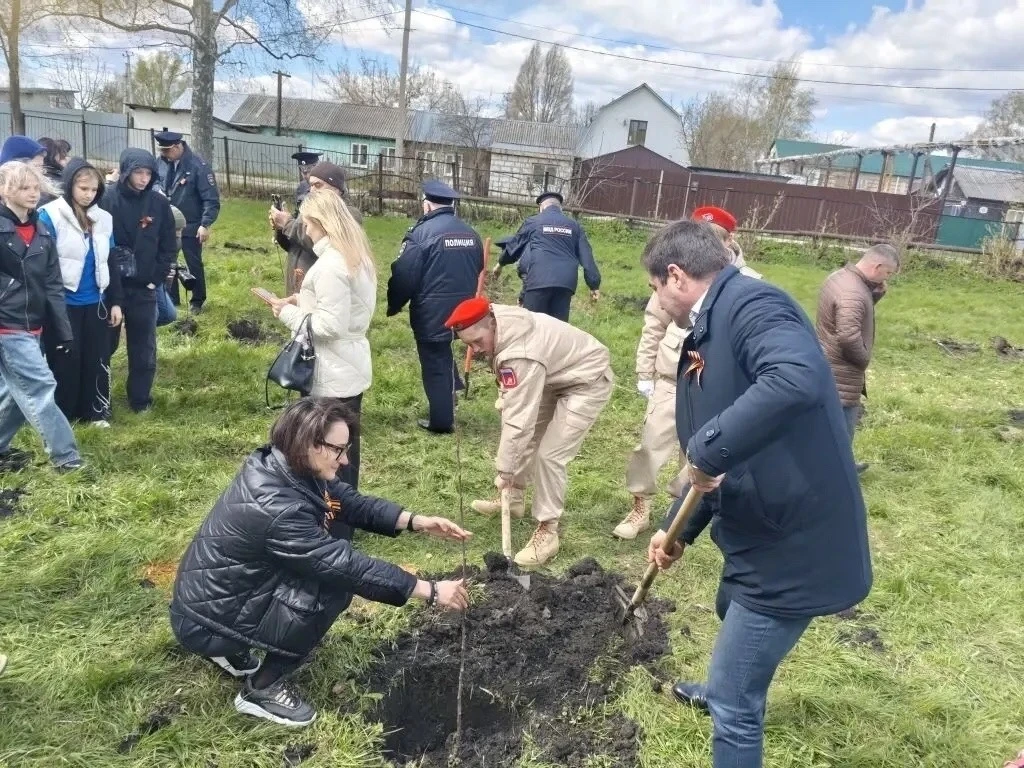 Юнармейцы МБОУ "Комсомольская  СОШ" приняли участие в посадке деревьев в честь годовщины победы в Ве