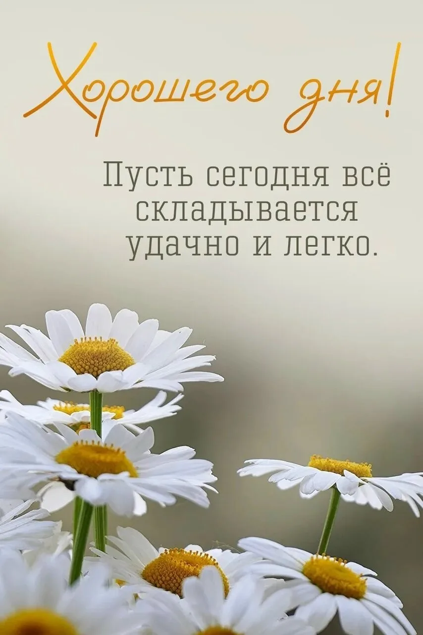 Счастливого дня!
