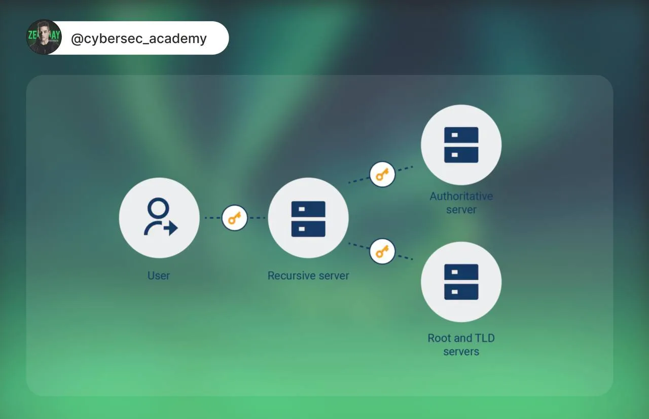 DNSSEC: как DNS научился доверять своим ответам