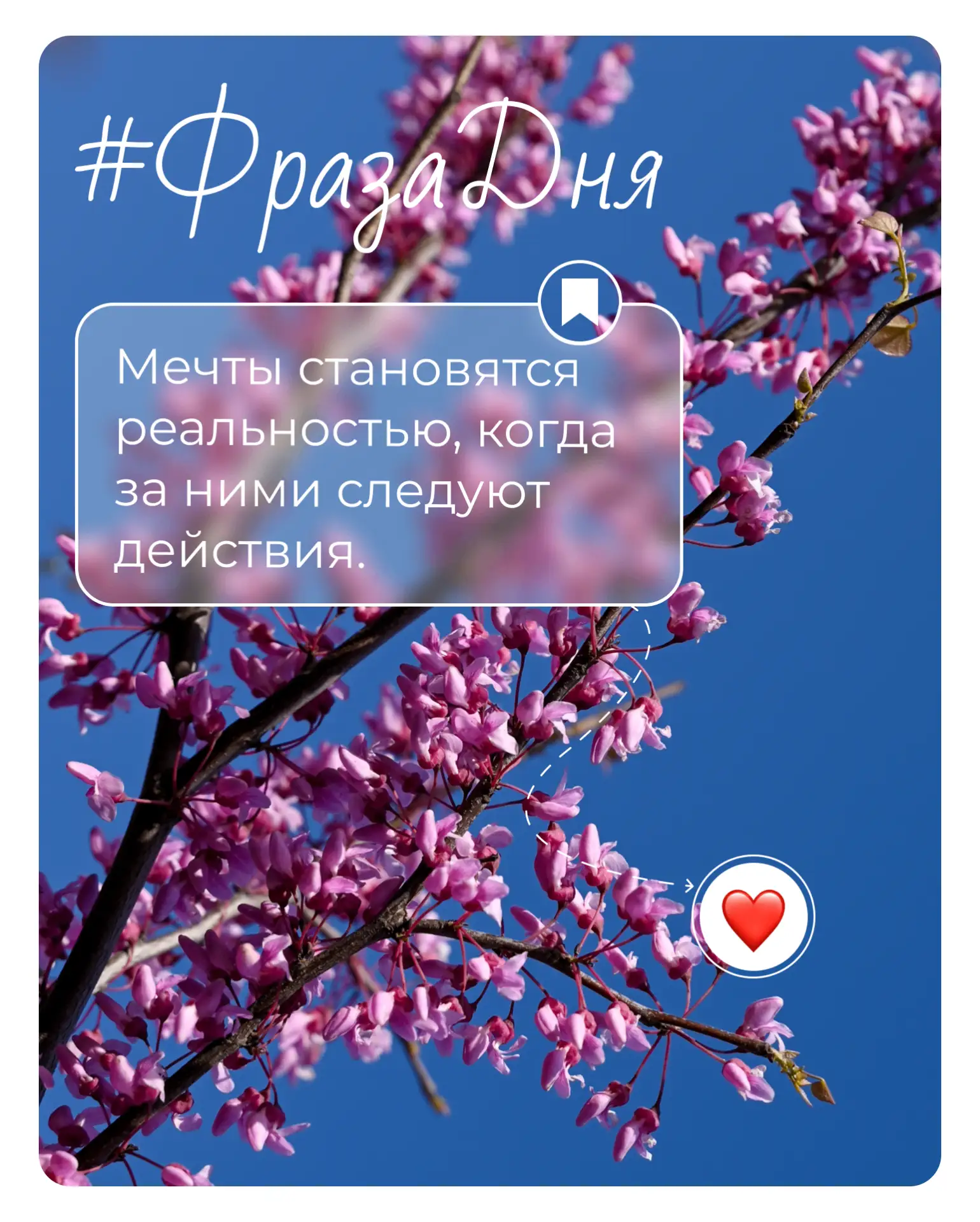 #ФразаДня