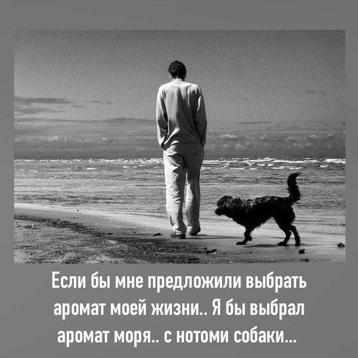 Точно!!!!