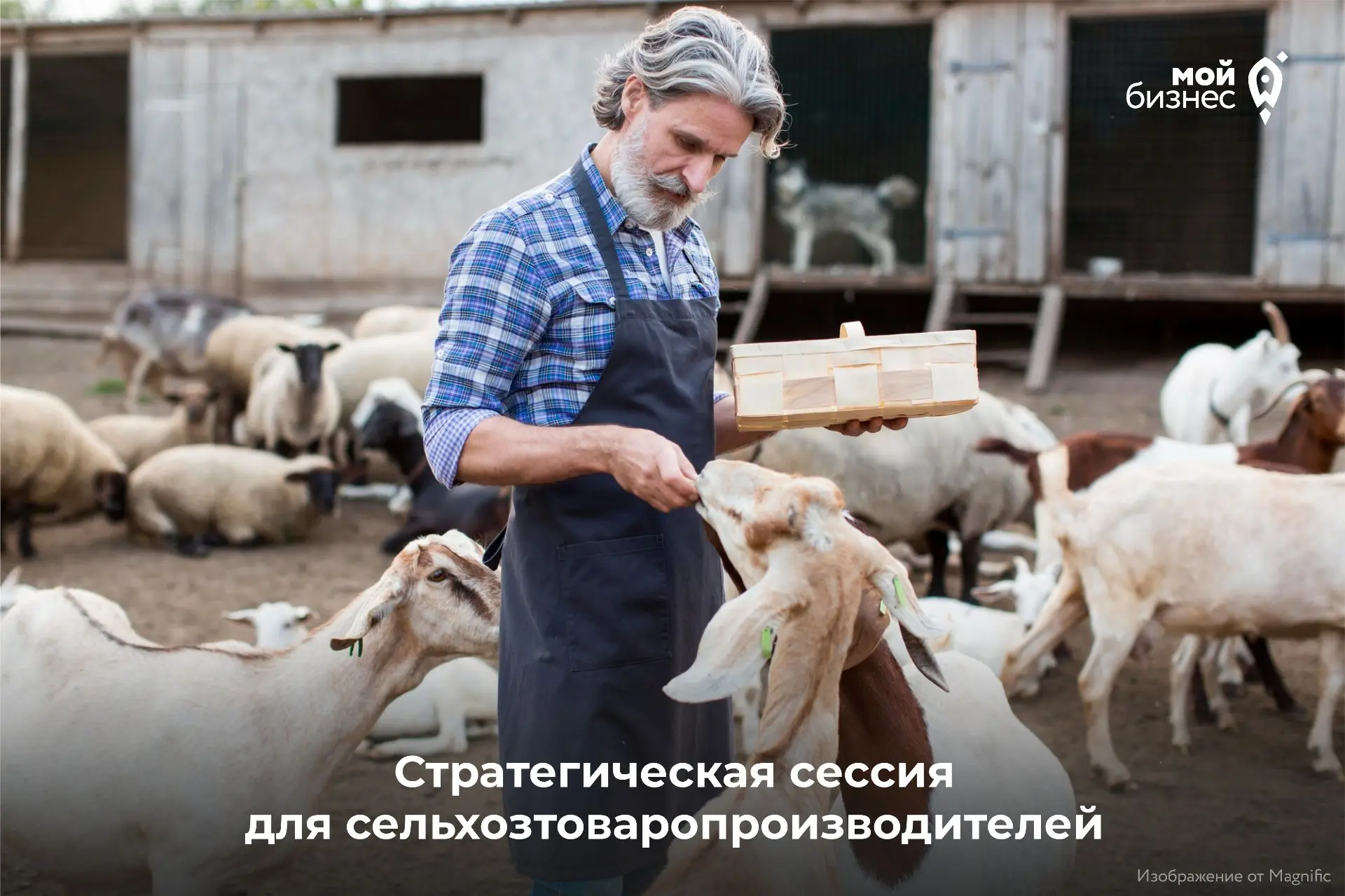 Сельхозтоваропроизводителей региона приглашают к участию в стратегической сессии 🌾