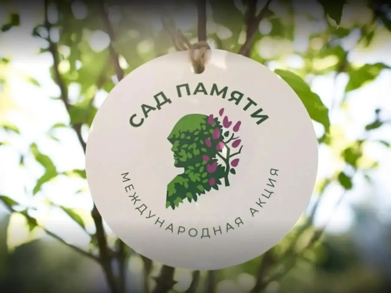 🇷🇺Всероссийская акция