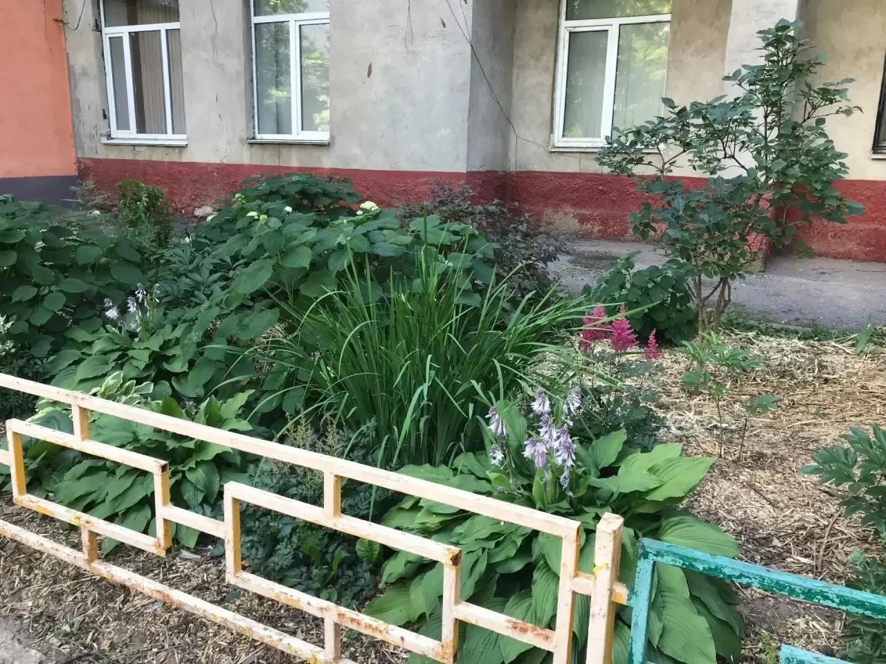 🌸 Делимся красотой во дворе дома 104А по улице Березовская🌸 Посмотрите на этот чудесный палисадник