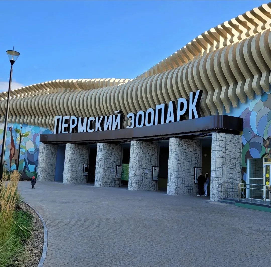 🐻 В Пермском зоопарке школьников и студентов будут пускать бесплатно