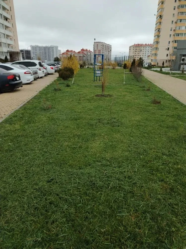 Уважаемые жители наших МКД по адресу: шоссе Супсехское🕊  🌿 Помпокос травы: забота о доме и душе  Каж
