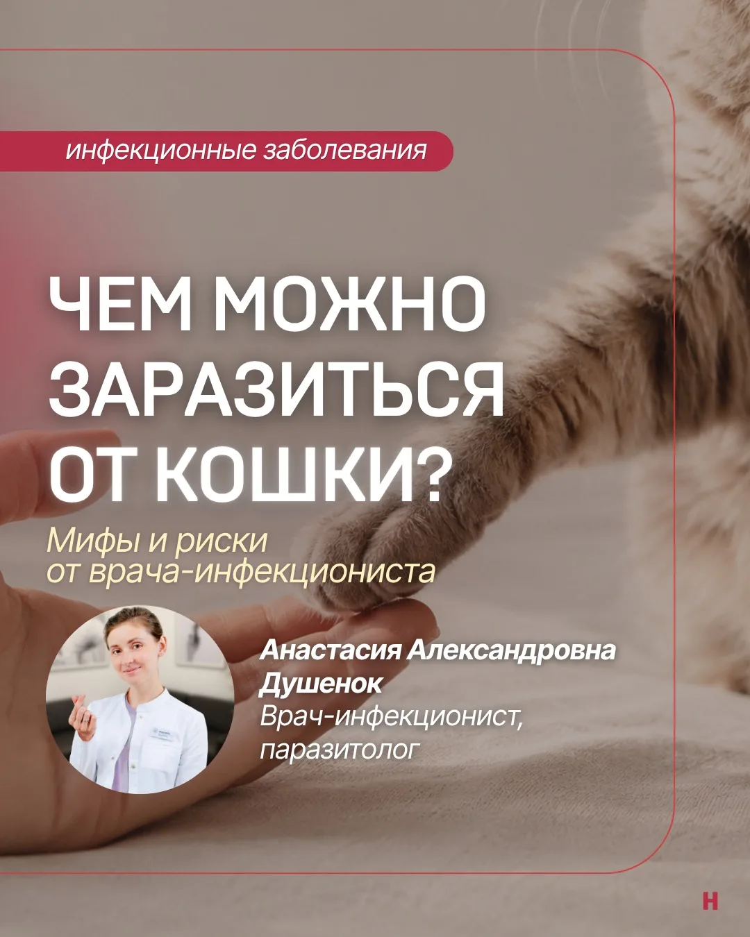 Многие обожают кошек! Но может ли она чем‑нибудь заразить — токсоплазмозом, стафилококк...