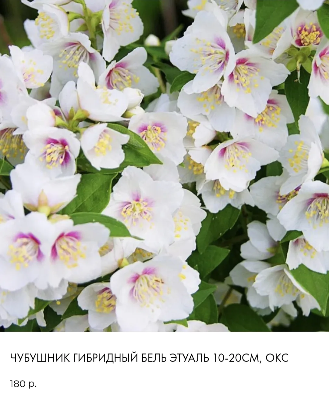 Доступно к заказу
