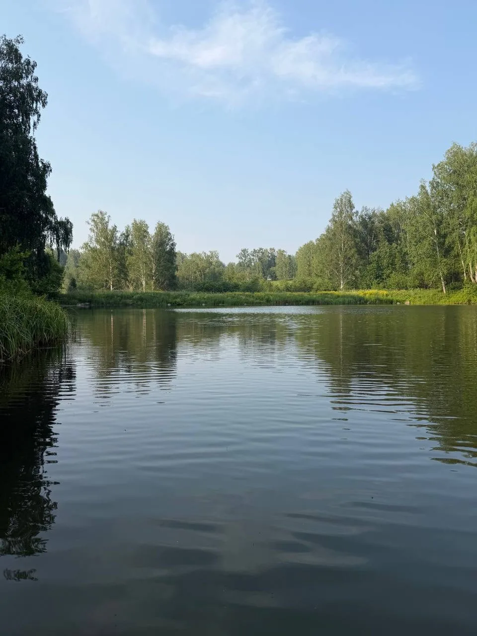 С добрым воскресным💋