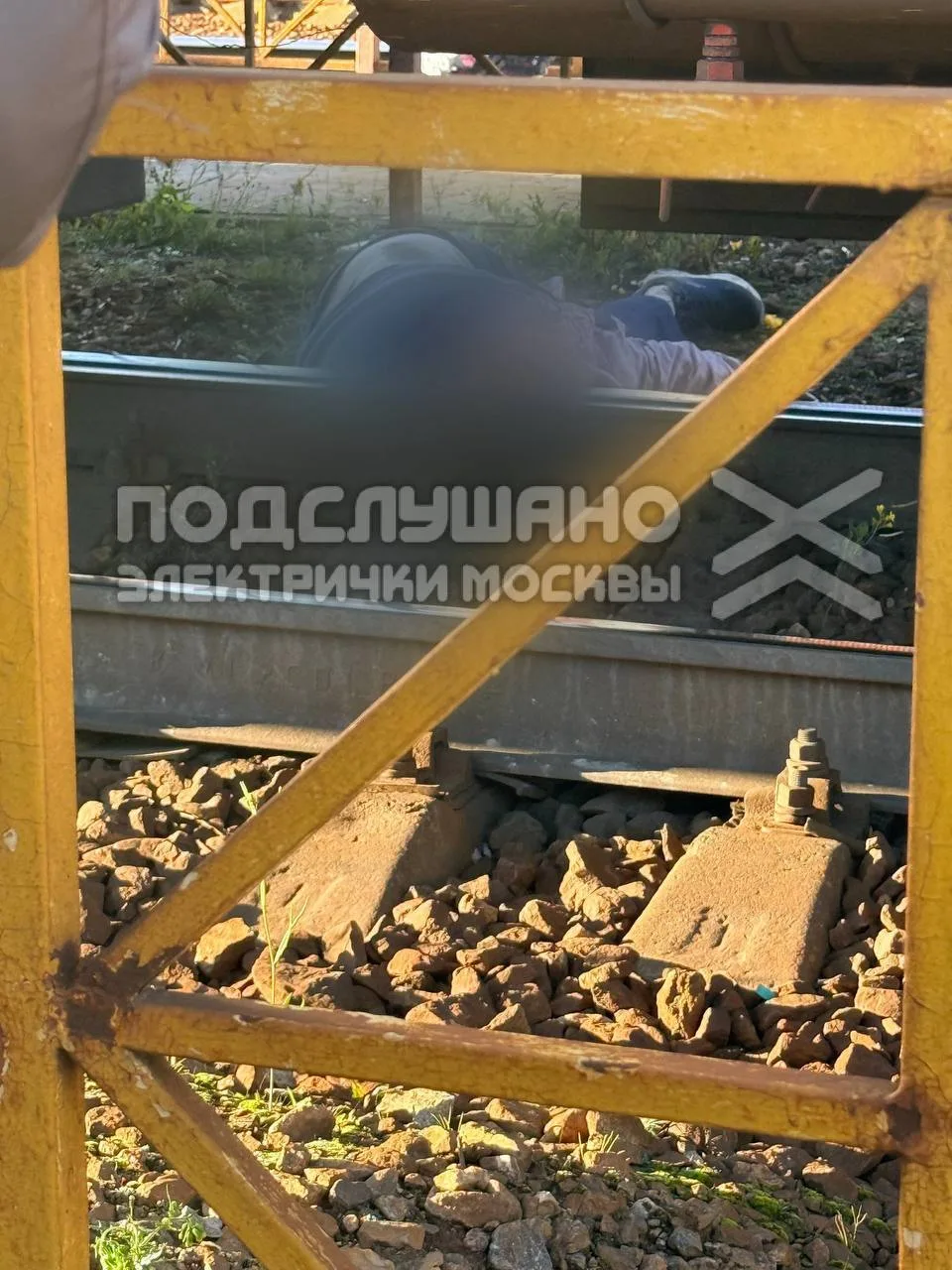 Поезд насмерть сбил женщину на Ярославском направлении