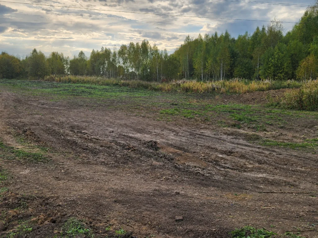 В Шегарском районе Томской области приняты меры по устранению захламления на землях сел...