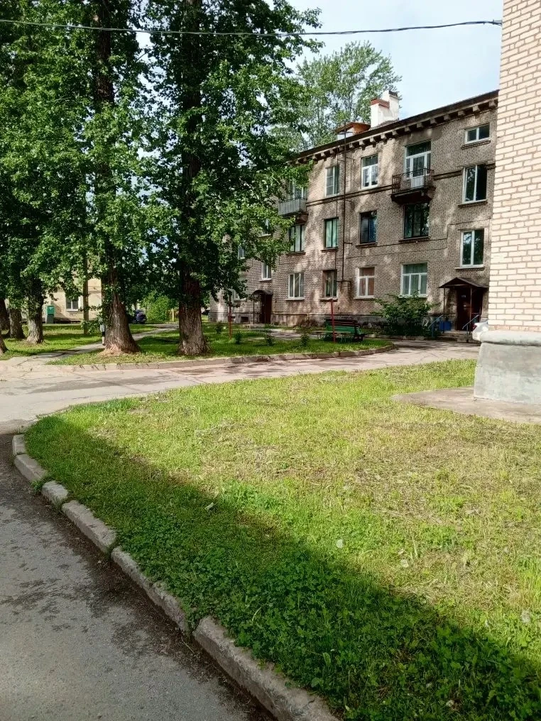 🏡ул. Молодежная, д. 1 - покос травы