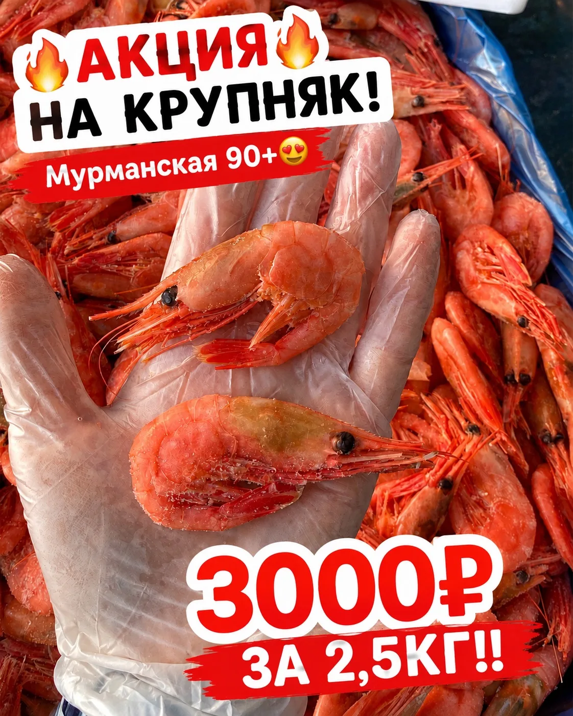 🔥 АКЦИЯ НА КРУПНЯК!🔥