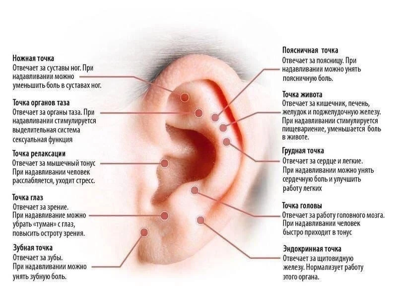 Массаж ушей - польза для всего организма
