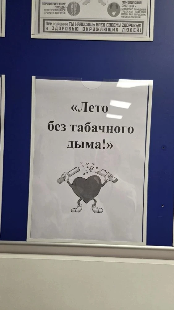 Друзья, календарь регионального проекта «Здоровая Ярославия» продолжает отсчёт месяцев ...
