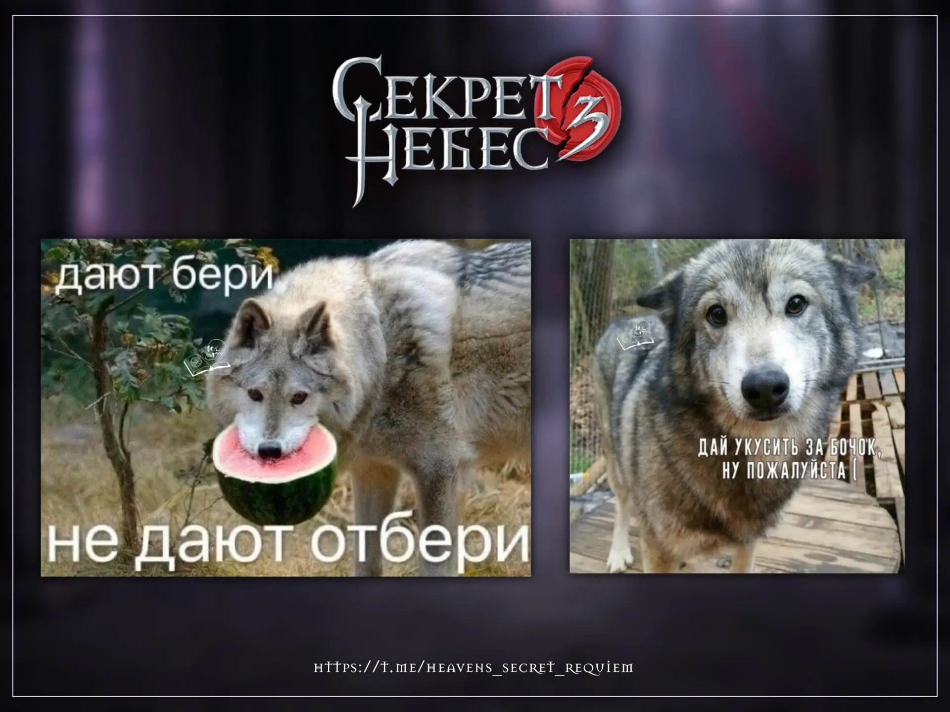 Мемы-спойлеры к грядущему обновлению «Секрет Небес 3».