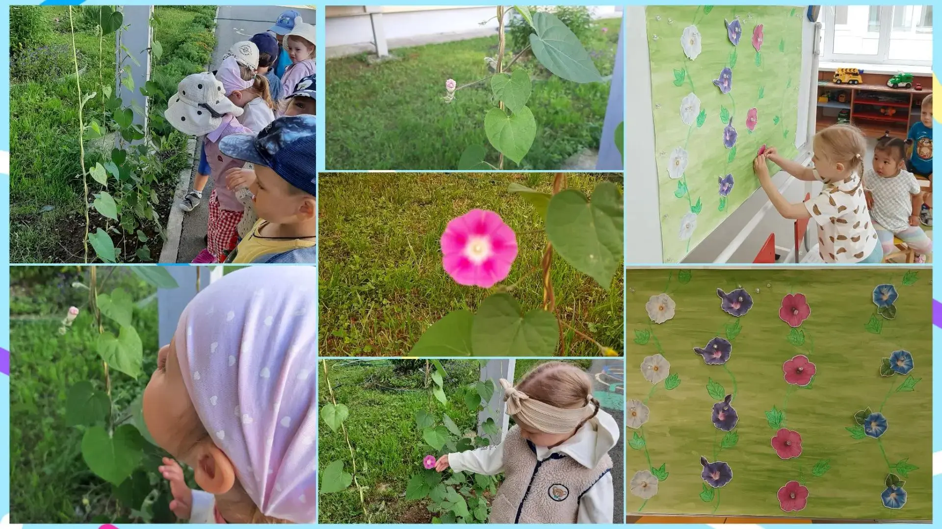 😊"Тайна цветущих вьюнов"🌺
