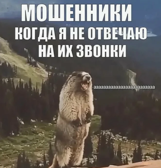 Мошенники предлагают «школьный набор» со скидкой 90%