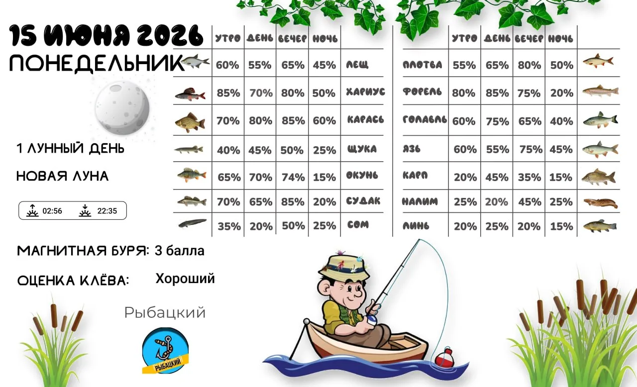 Прогноз клёва на 15 июня по фазе и состоянию луны 🎣

Лежат в тине два карася, разговаривают.
- Слыш