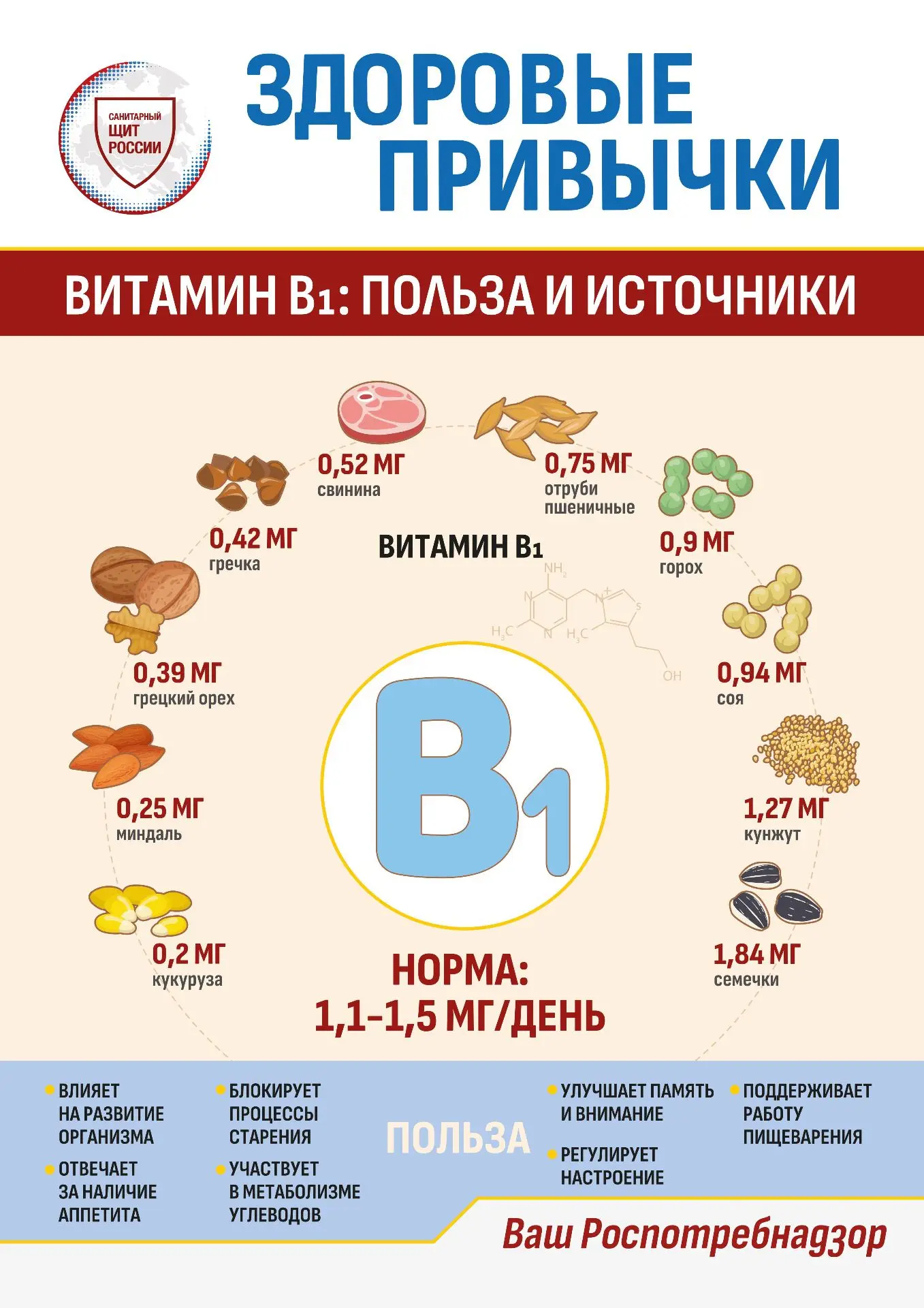 ✅Витамин В1, или тиамин – один из важнейших представителей группы B. Он не накапливается в организме