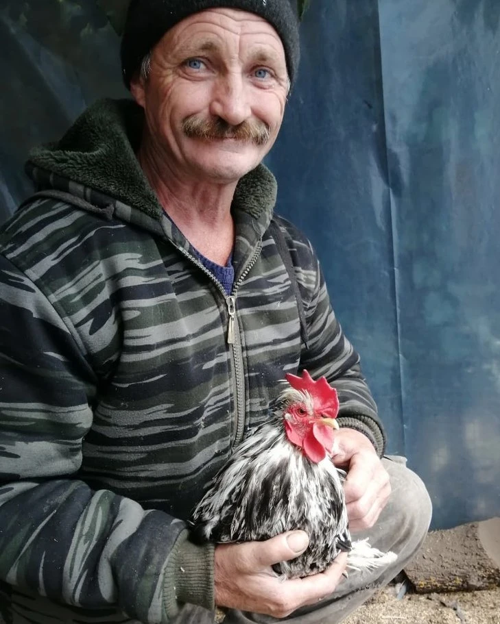 🐔 Не всё же ради яиц: куры, которыми любуются